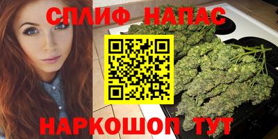 прущие грибы Усть-Илимск