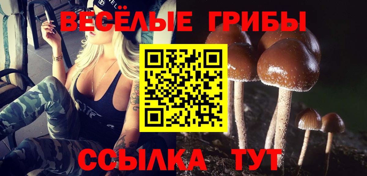 Псилоцибиновые грибы ЛСД Узловая